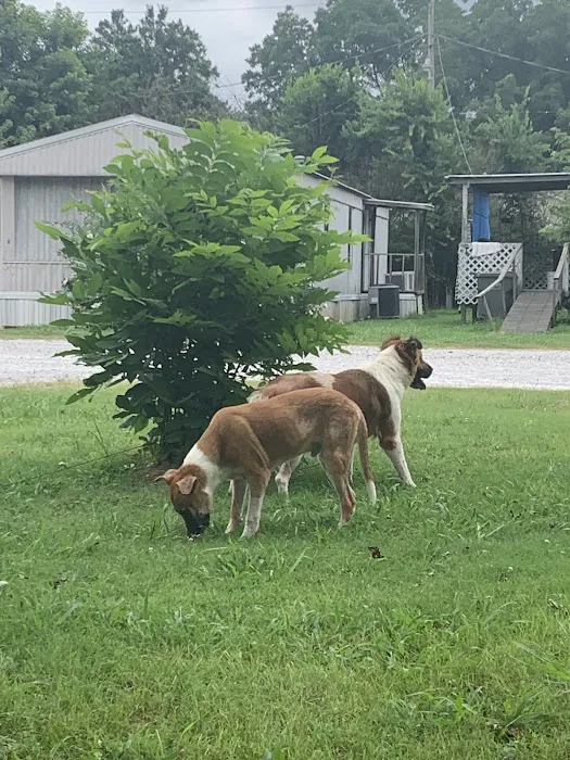 Cedar Creek Veterinary Clinic LLC Picture 5