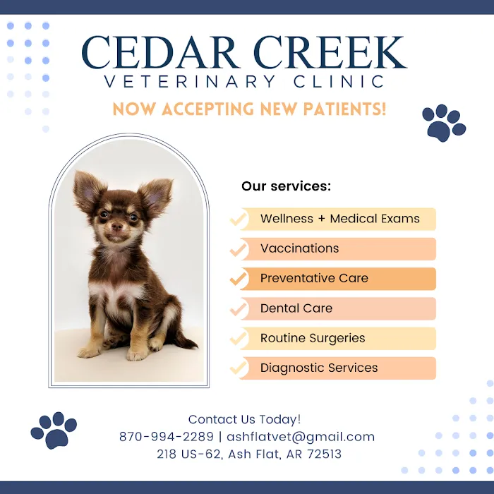 Cedar Creek Veterinary Clinic LLC Picture 10
