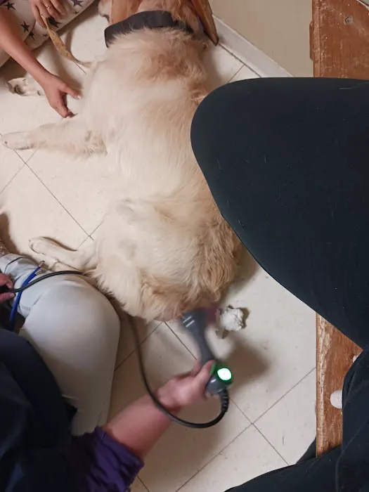 Parsons Pet Hospital Picture 5