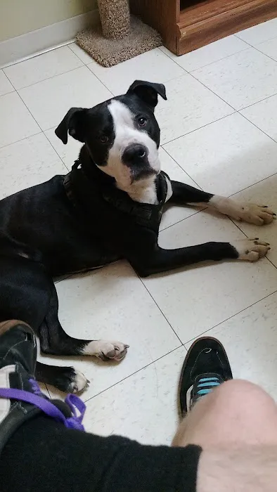 Parsons Pet Hospital Picture 4