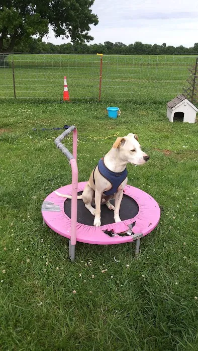 Parsons Pet Hospital Picture 1