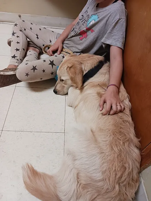 Parsons Pet Hospital Picture 6