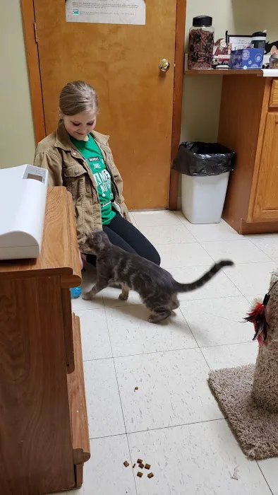 Parsons Pet Hospital Picture 9