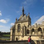 Oakwood Pet Hospital