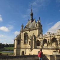 Oakwood Pet Hospital ico