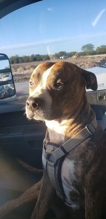 Oakwood Pet Hospital Picture 4