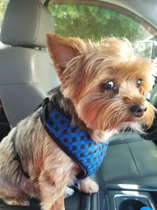 Oakwood Pet Hospital Picture 7