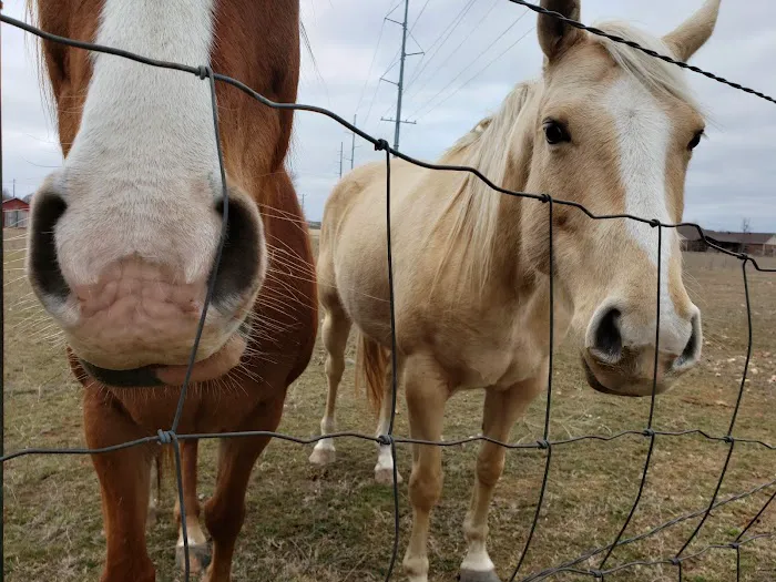 Oakwood Pet Hospital Picture 5