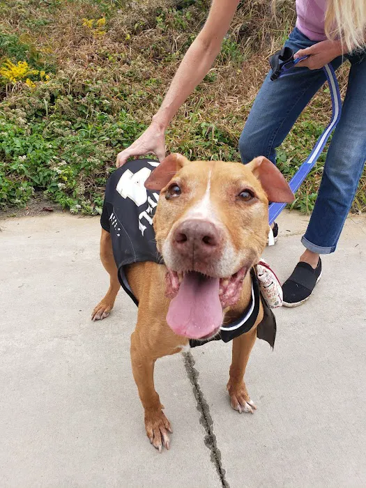 Oakwood Pet Hospital Picture 3