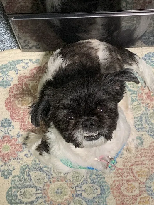 Oakwood Pet Hospital Picture 9