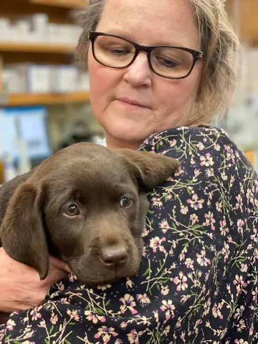 Sugar Creek Animal Hospital Picture 2