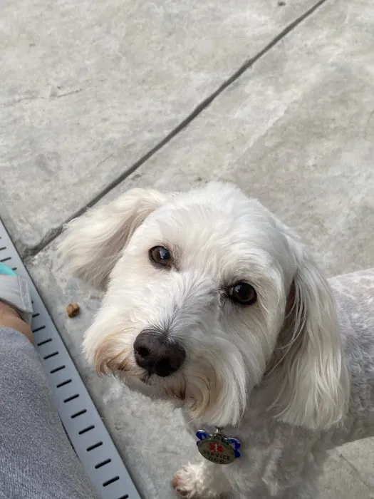 Sugar Creek Animal Hospital Picture 1