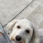 Sugar Creek Animal Hospital