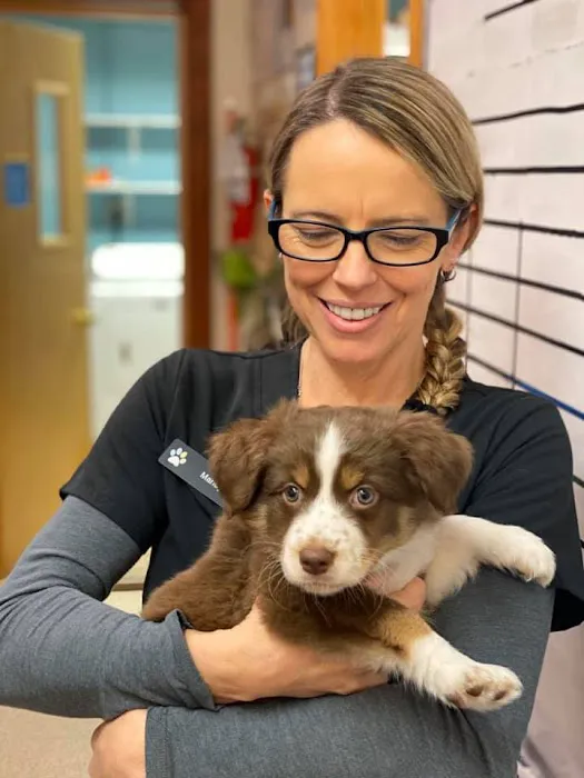 Sugar Creek Animal Hospital Picture 5