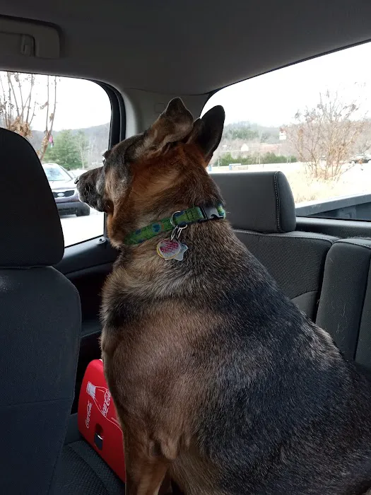 Oak View Animal Clinic Picture 1