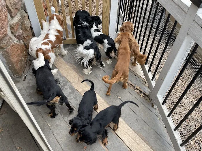 Oak View Animal Clinic Picture 5