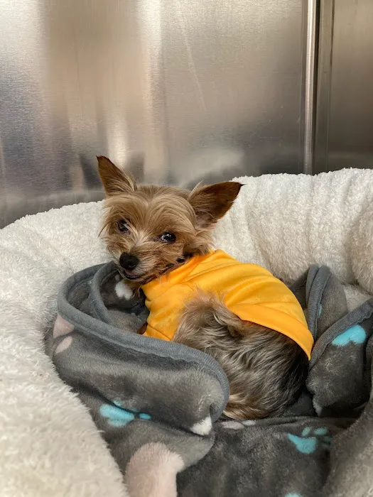 Oak View Animal Clinic Picture 4