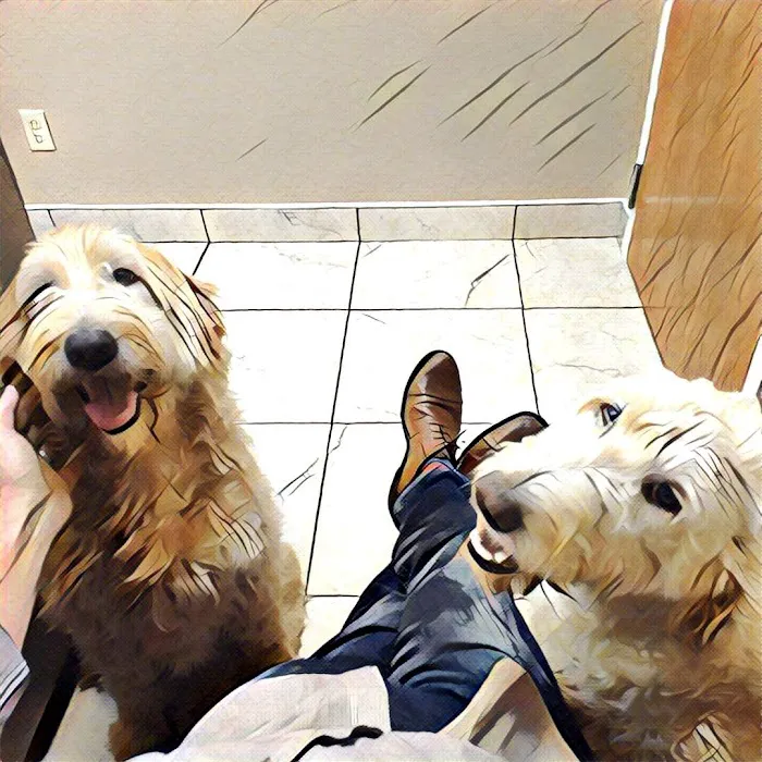 Oak View Animal Clinic Picture 10