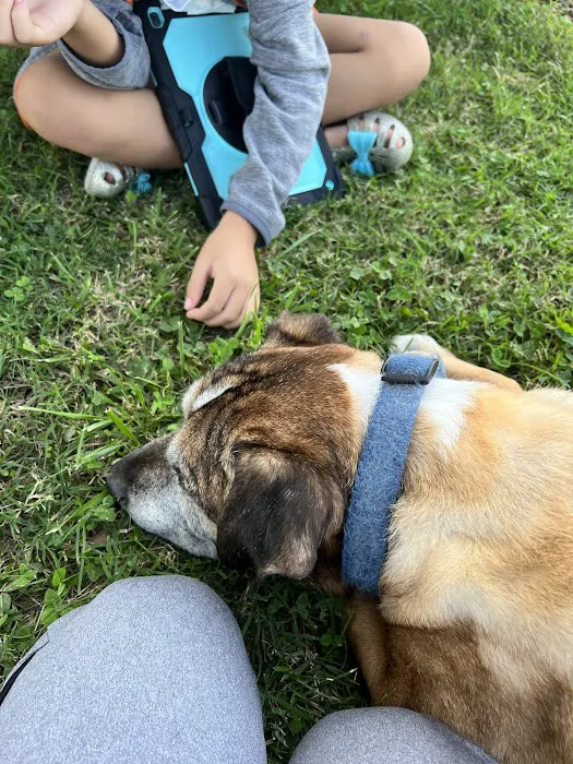 Oak View Animal Clinic Picture 8