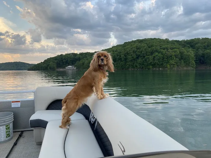 Oak View Animal Clinic Picture 9