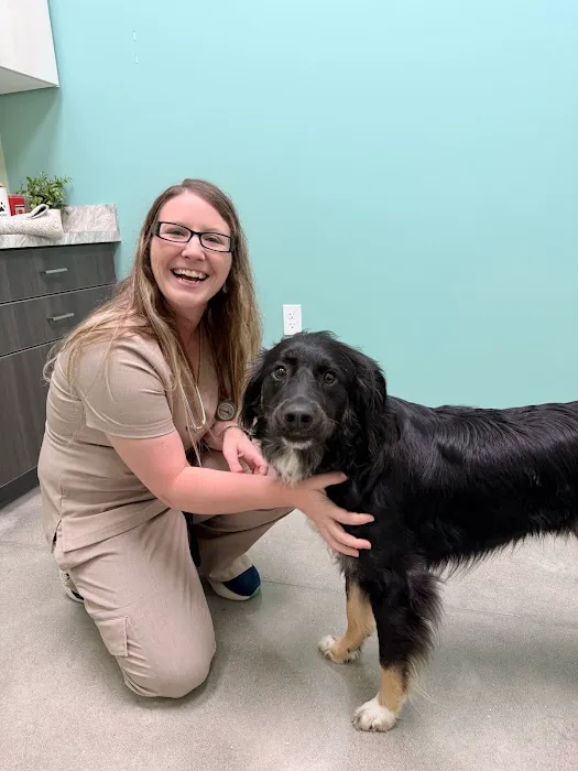 Embrace Vet Care Picture 1