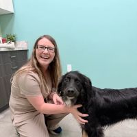 Embrace Vet Care ico