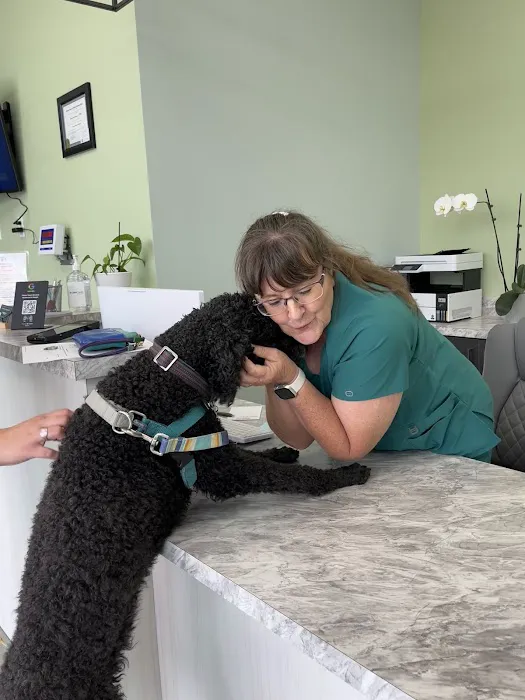 Embrace Vet Care Picture 5