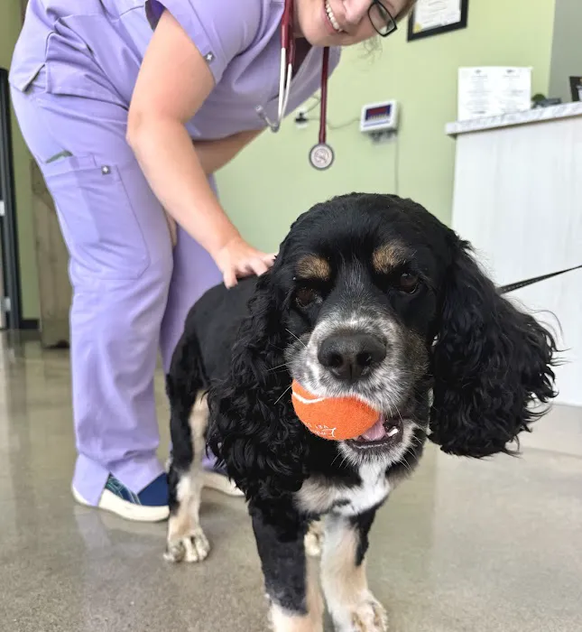 Embrace Vet Care Picture 7