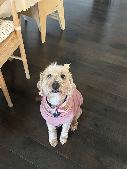 Embrace Vet Care Picture 2