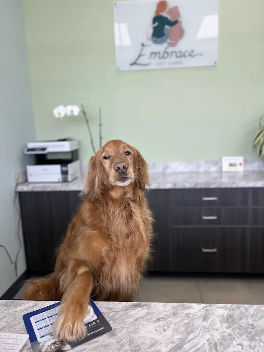 Embrace Vet Care Picture 8