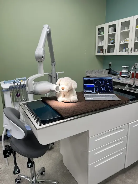 Embrace Vet Care Picture 9