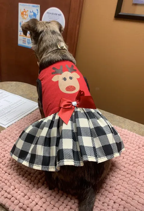 Animal Hospital Of Centerton Picture 5