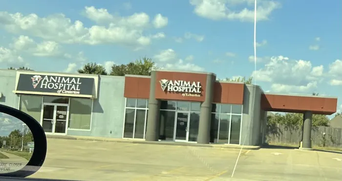 Animal Hospital Of Centerton Picture 9