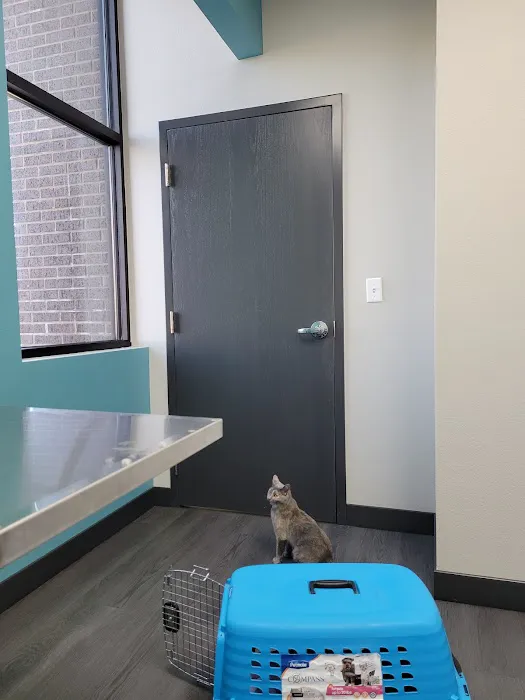 midCITIES Animal Hospital Picture 4