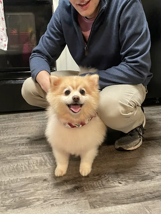 midCITIES Animal Hospital Picture 6