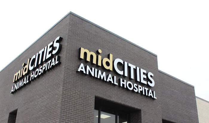 midCITIES Animal Hospital Picture 8