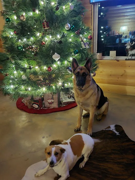 Grove Small Animal Hospital Picture 1