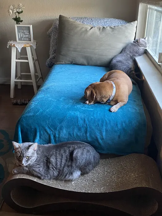 Grove Small Animal Hospital Picture 6