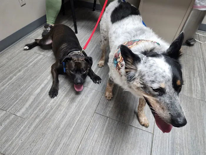 Grove Small Animal Hospital Picture 3