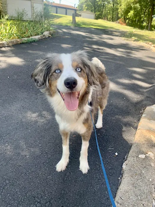 Grove Small Animal Hospital Picture 7