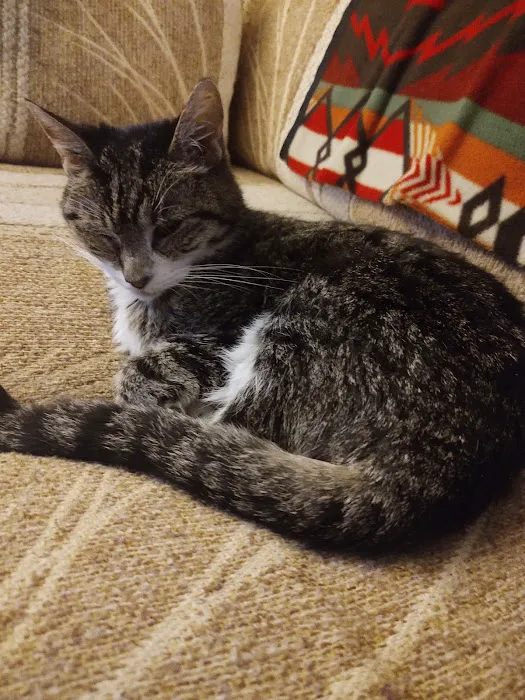 Grove Small Animal Hospital Picture 10