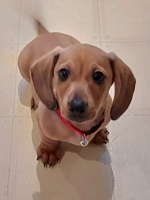 Jay Veterinary Clinic Picture 3