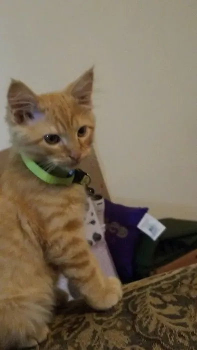 Jay Veterinary Clinic Picture 5