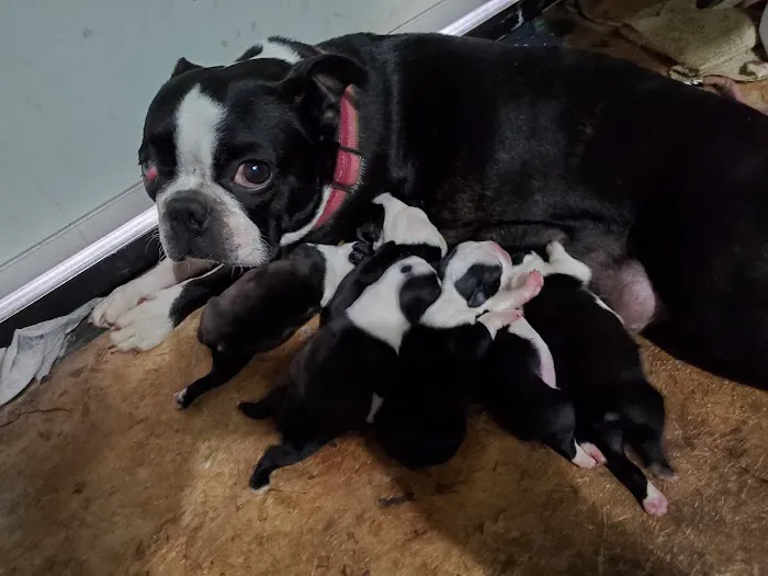 Jay Veterinary Clinic Picture 1