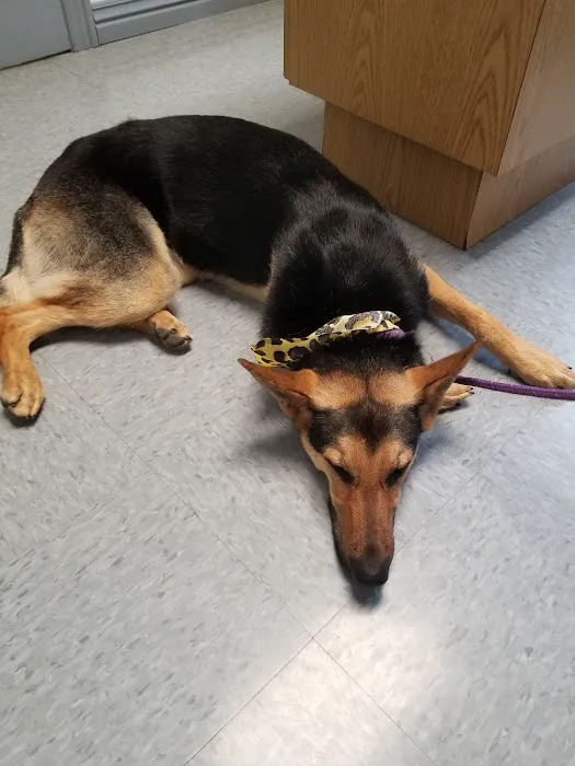 Gentry Veterinary Clinic Picture 1