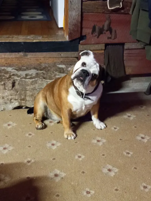 Gentry Veterinary Clinic Picture 6