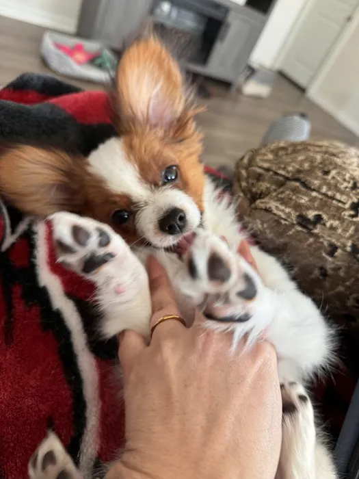 Gentry Veterinary Clinic Picture 10