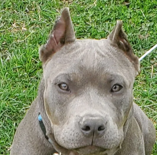 Fairland Veterinary Hospital Picture 1