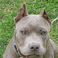 Fairland Veterinary Hospital ico