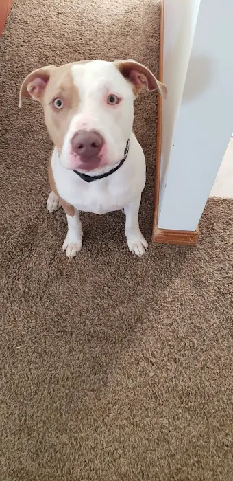 Fairland Veterinary Hospital Picture 2